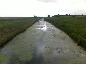 Southwards along the Royal Military Canal towards Cliff End